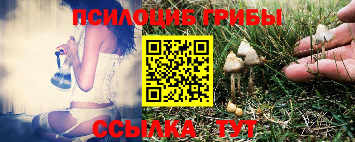Галлюциногенные грибы MAGIC MUSHROOMS  Галлюциногенные грибы мухоморы  Вход с VPN  Барнаул 
