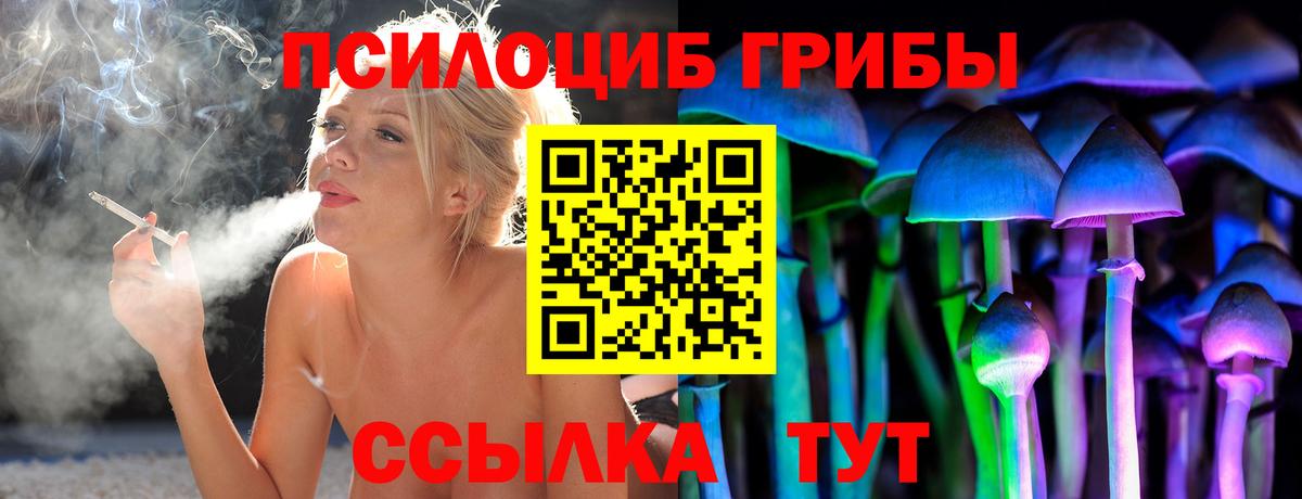 Псилоцибиновые грибы Psilocybe Барнаул